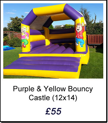 Purple & Yellow Bouncy Castle