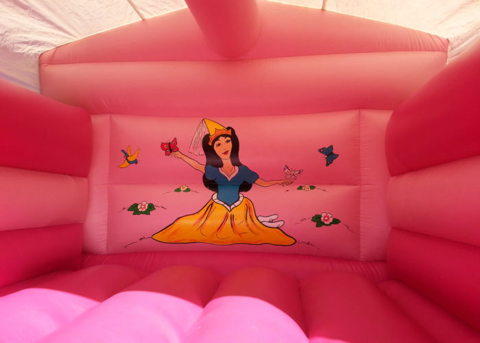 Princess bouncy castle hire